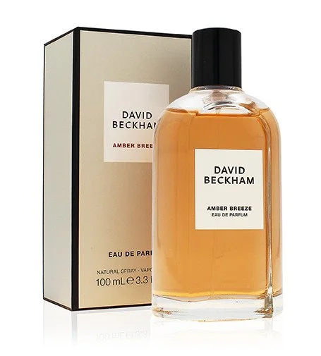 Amber Breeze parfémovaná voda pro muže 100 ml