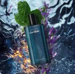 Cool Water toaletní voda pro muže 40 ml