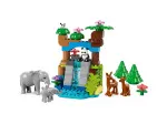 DUPLO® 10446 Rodinky divokých zvířat 3 v 1