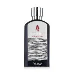 Atomise Intensive Men parfémovaná voda pro muže 100 ml