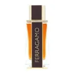 Ferragamo Spicy Leather parfémovaná voda pro muže 100 ml