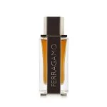 Ferragamo Spicy Leather parfémovaná voda pro muže 100 ml