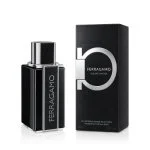 Ferragamo Sublime Leather Intense parfémovaná voda pro muže 100 ml