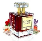 Divin Aoud parfémovaná voda unisex 100 ml