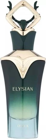 Elysian Onyx M parfémovaná voda 100 ml