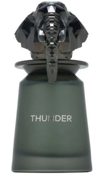 Thunder U parfémovaná voda 100 ml