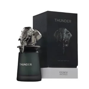 French Avenue Thunder U parfémovaná voda