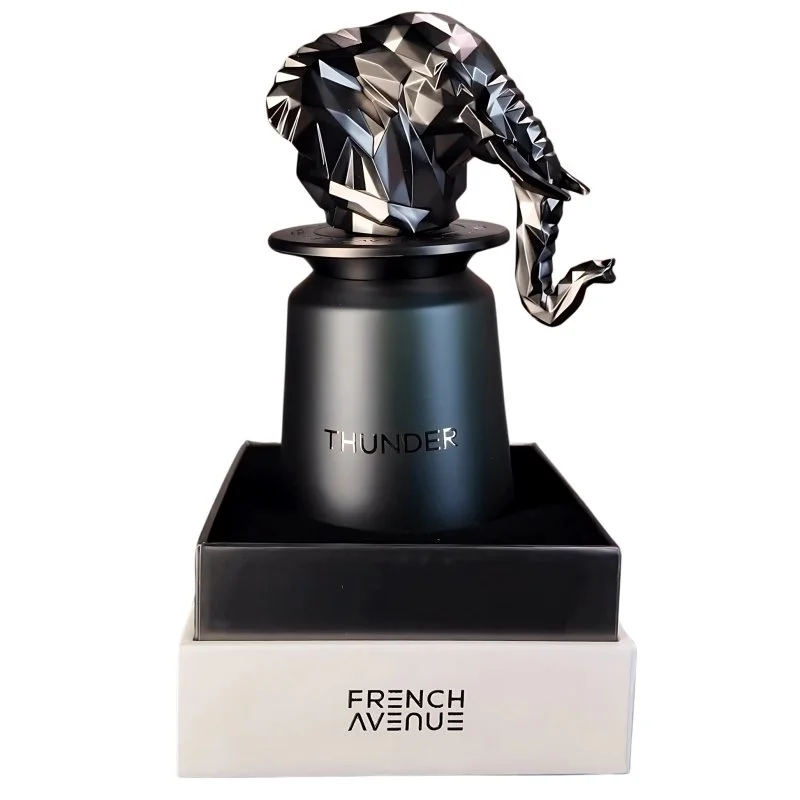 Thunder U parfémovaná voda 100 ml
