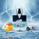 Aromatix Frostbite U parfémový extrakt 100 ml