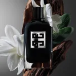 Gentleman Society parfémovaná voda pro muže 100 ml