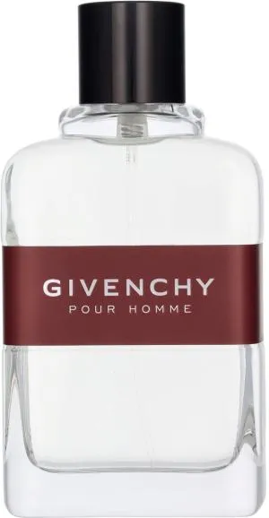 Givenchy Pour Homme toaletní voda pro muže 100 ml