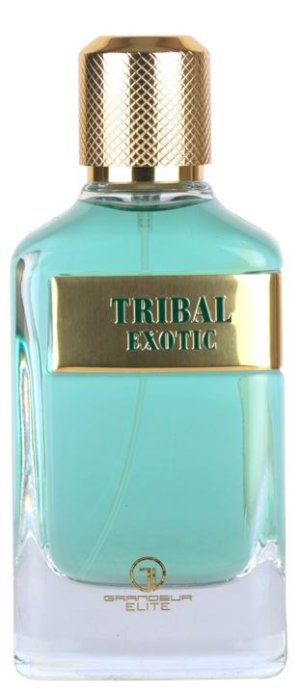 Tribal Exotic M 100 parfémovaná voda