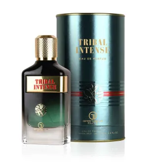 Grandeur Tribal Intense parfémovaná voda pro muže 100 ml