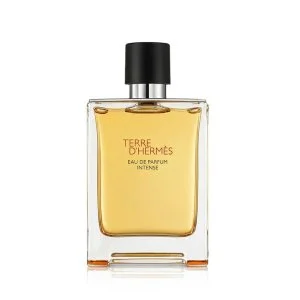 Hermes Terre d’Hermès Intense Intense plnitelný parfémovaná voda pro muže