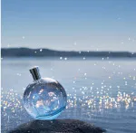 Eau des Merveilles Bleue toaletní voda pro ženy 100 ml