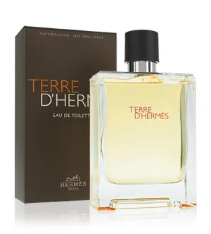 Hermes Terre d'Hermes toaletní voda pro muže 100 ml
