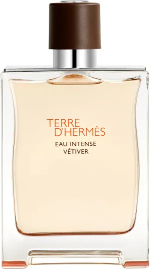 Hermes Terre d'Hermes Eau Intense Vetiver parfémovaná voda pro muže 100 ml
