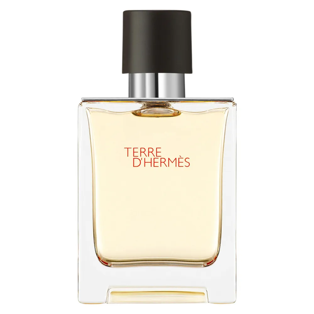 Terre d'Hermes toaletní voda pro muže 50 ml