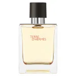 Terre d'Hermes toaletní voda pro muže 50 ml
