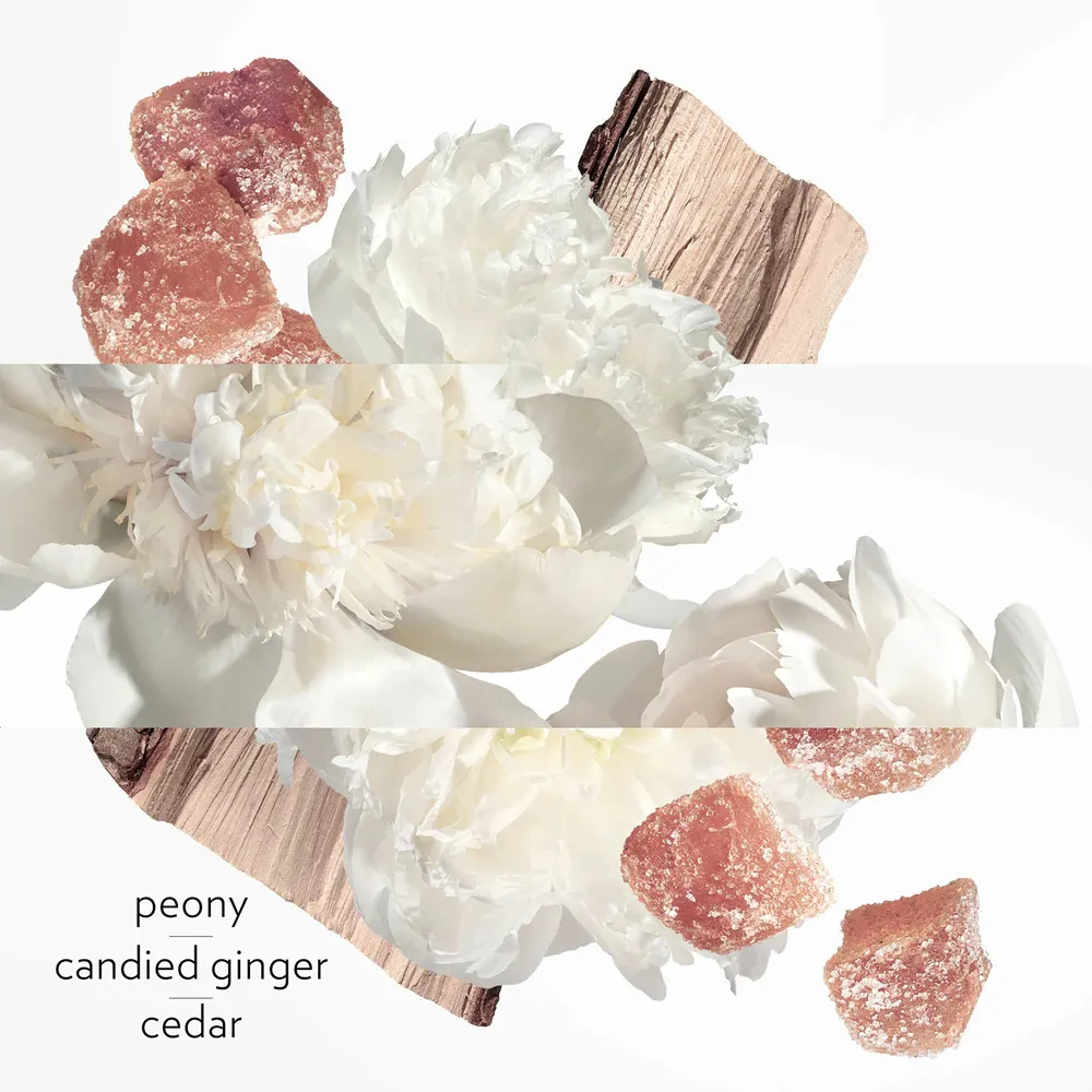 Twilly d'Hermes Eau Ginger parfémovaná voda 85 ml pro ženy