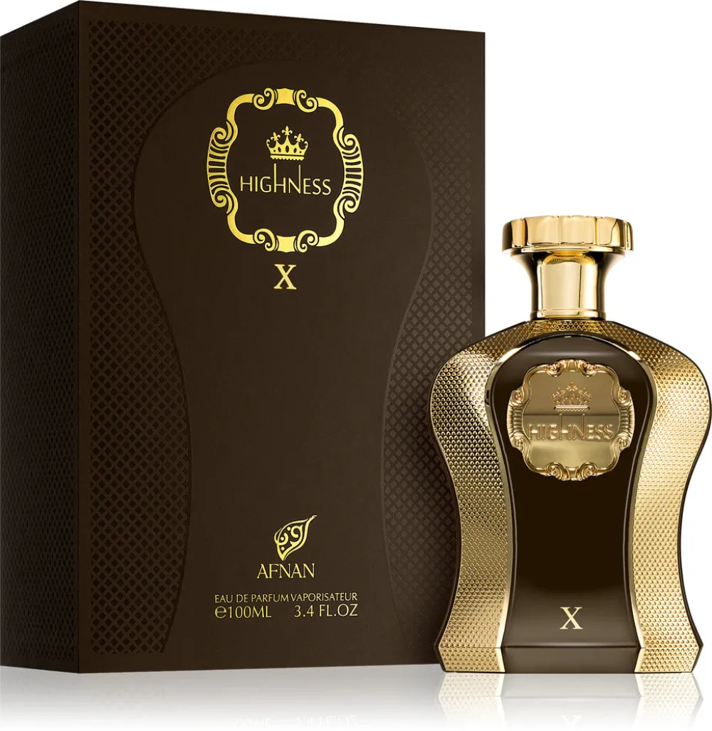 Highness X parfémovaná voda pro muže 100 ml
