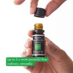 Incognito Éterický olej Citronela jávská BIO (10 ml) - nevoní obtížnému hmyzu
