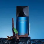 Fusion D'Issey toaletní voda 100 ml pro muže