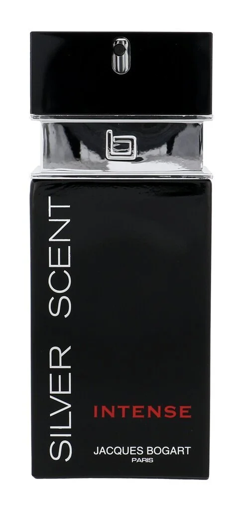 Silver Scent Intense toaletní voda pro muže 100 ml