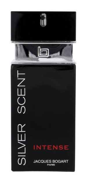 Silver Scent Intense toaletní voda pro muže