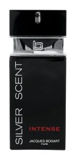 Silver Scent Intense toaletní voda pro muže 100 ml