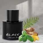 Black For Men toaletní voda pro muže 100 ml