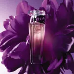Trésor Midnight Rose parfémovaná voda pro ženy 50 ml