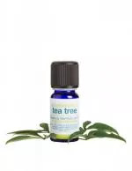 laSaponaria Éterický olej - BIO tea tree (10 ml)