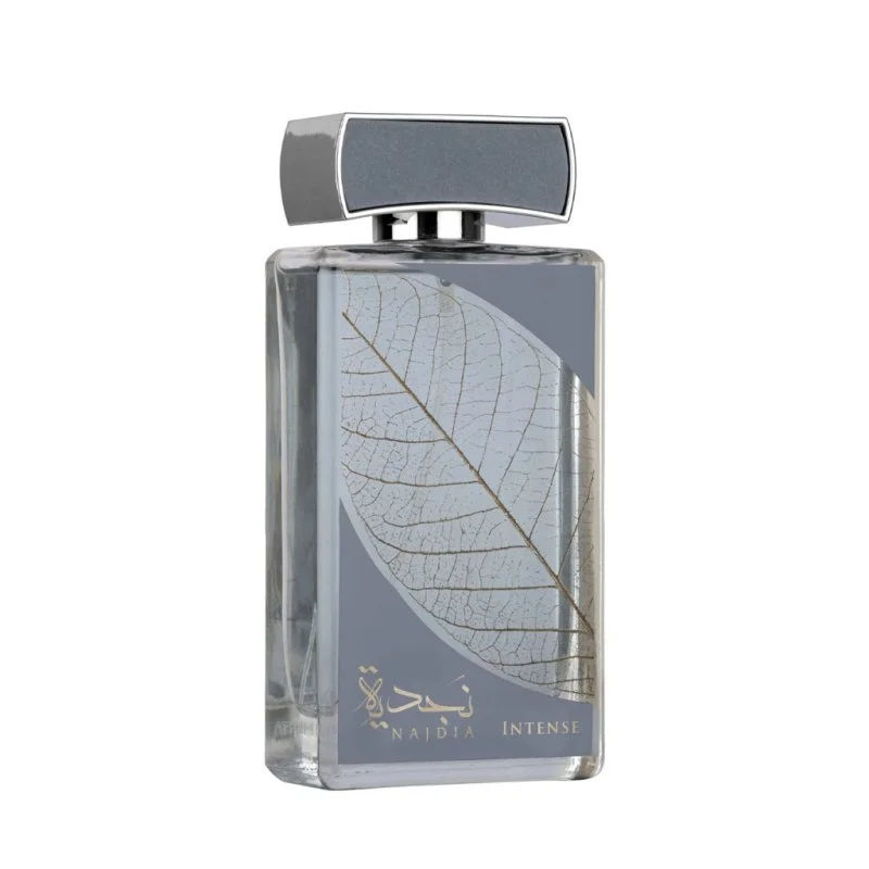 Najdia Intense parfémovaná voda pro muže 100 ml