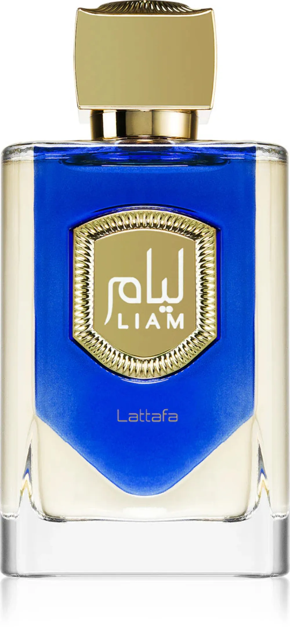 Liam Blue Shine parfémovaná voda unisex 100 ml