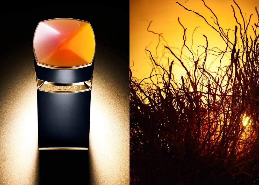 Le Gemme Ambero parfémovaná voda pro muže 100 ml