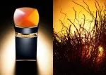 Le Gemme Ambero parfémovaná voda pro muže 100 ml