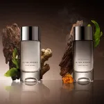 Le Sel d’Issey plnitelný parfémovaná voda pro muže 50 ml