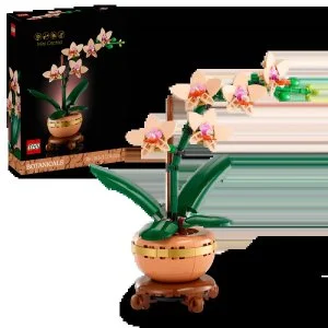 LEGO® Botanicals 10343 Miniaturní orchidej