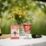 LEROS Bylinná směs Bucco Cold Brew - nálev. sáčky (20 x 1,5 g) - na přípravu ledového čaje