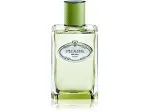 Les Infusions de Vetiver parfémovaná voda unisex 100 ml