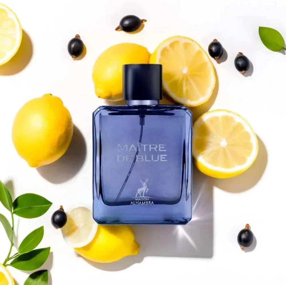 Maitre De Blue parfémovaná voda pro muže 100 ml