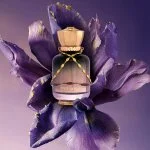 Date Night U parfémovaná voda 100 ml