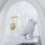 Rey U parfémovaná voda 100 ml