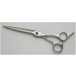 Asx 550N