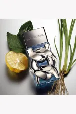 Pour Homme parfémovaná voda pro muže 100 ml