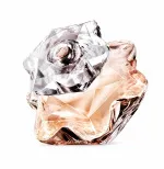 Lady Emblem parfémovaná voda pro ženy 75 ml