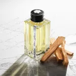 Vetiver Glacier parfémovaná voda pro muže 125 ml
