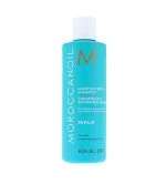 Moisture Repair Shampoo regenerační šampon 250 ml