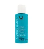 Hydrating Shampoo hydratační šampon 70 ml
